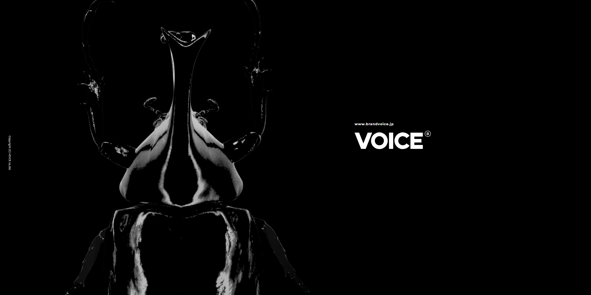 株式会社ヴォイス