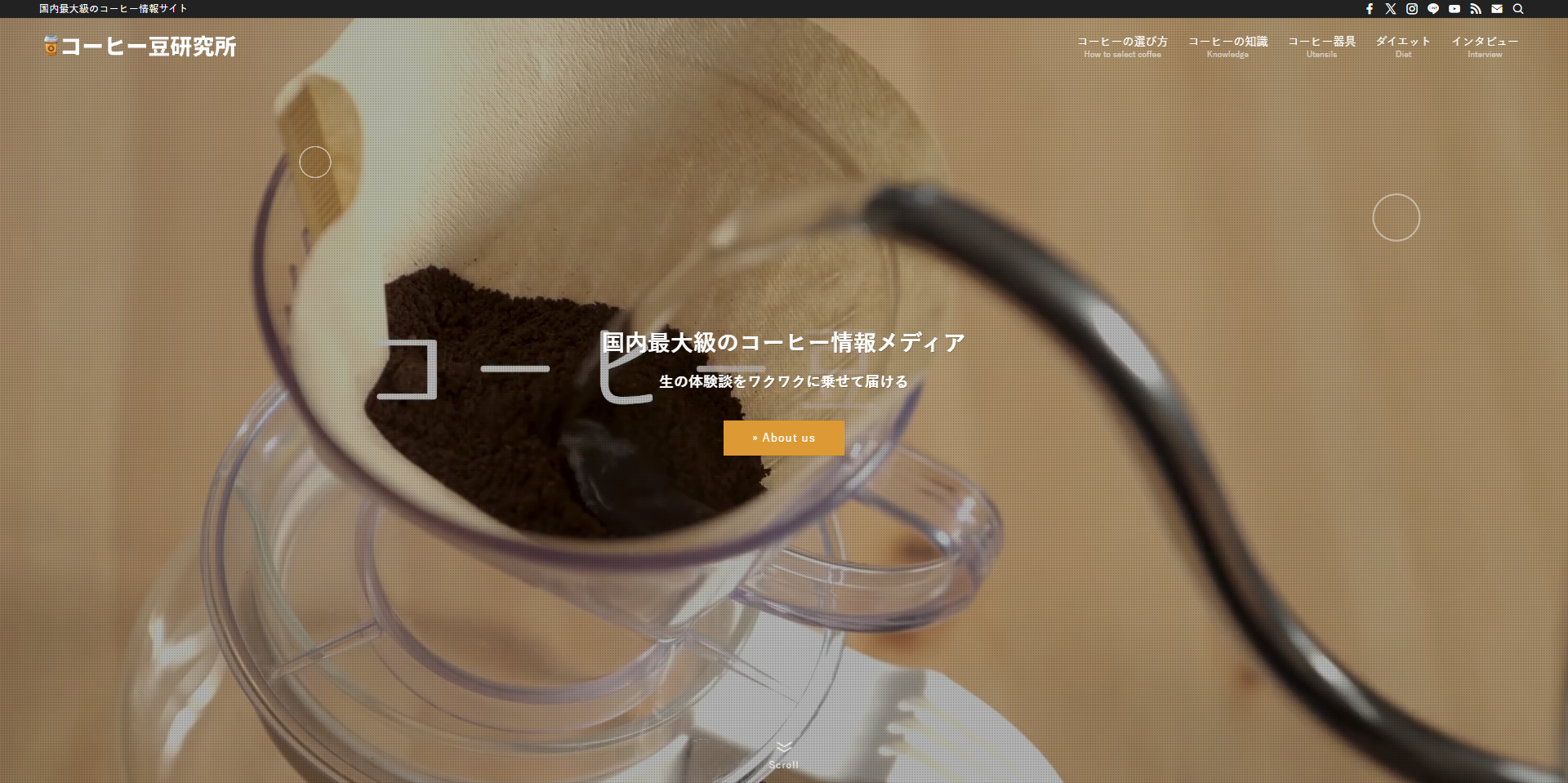 コーヒー豆研究所