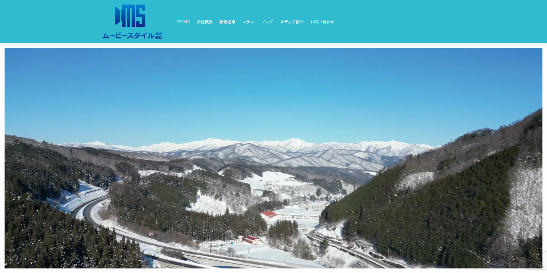 ムービースタイル株式会社